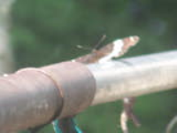 100_6215.jpg